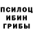 Галлюциногенные грибы мицелий TheRodion Klintik