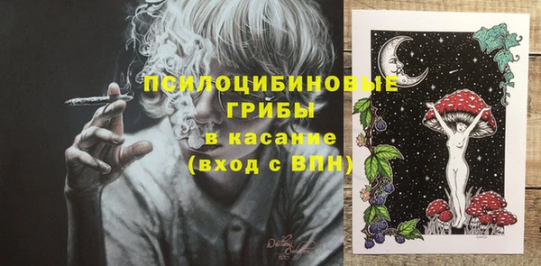 хмурый Арсеньев