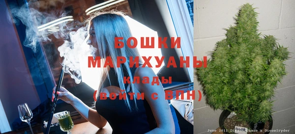 хмурый Арсеньев