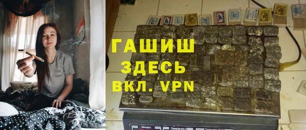 хмурый Арсеньев