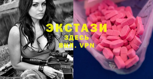 хмурый Арсеньев