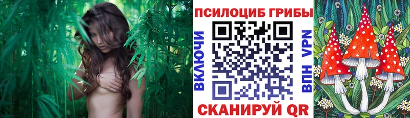 Псилоцибиновые грибы MAGIC MUSHROOMS  что такое   Ростов 